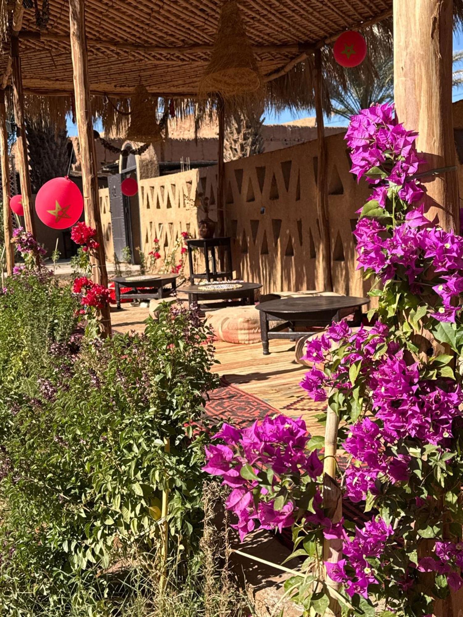 Zagora Oasis Lodge Exterior photo